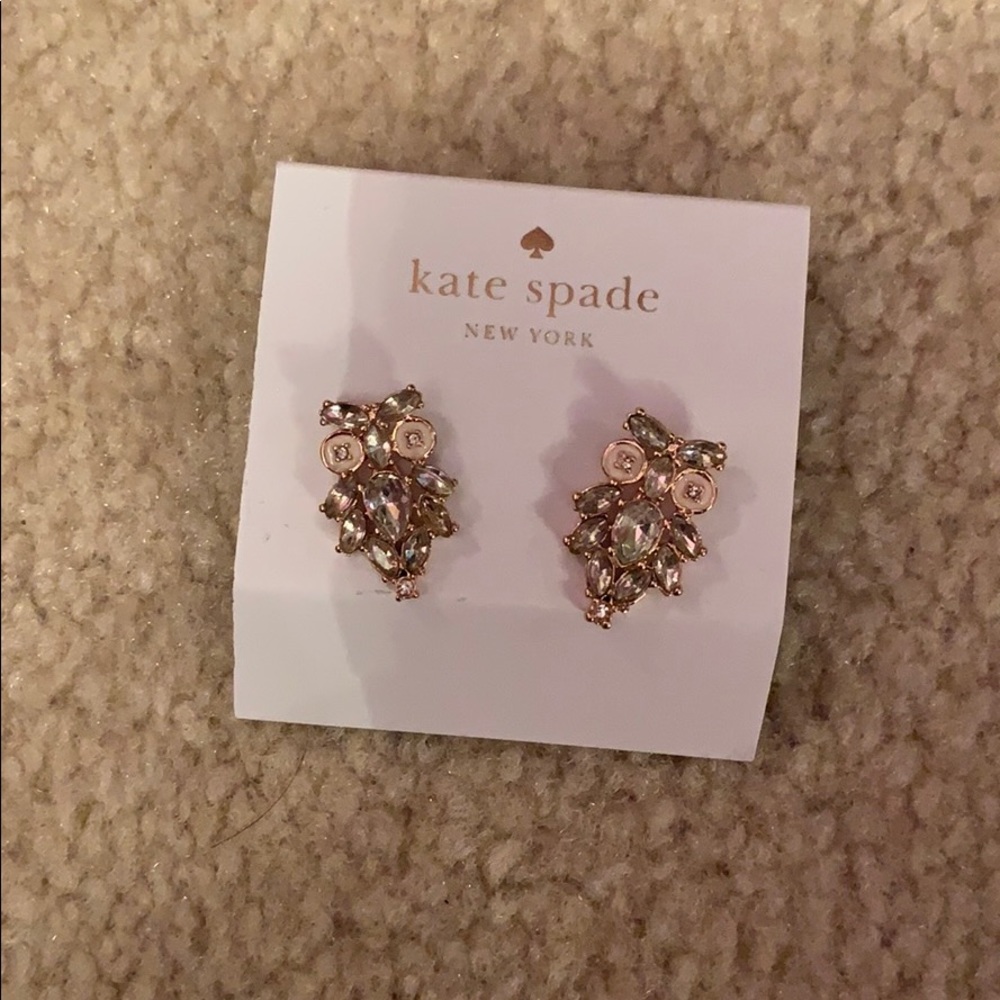 Kate Spade Owl Earrings